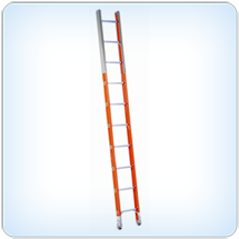 Ladder For Manhole Application